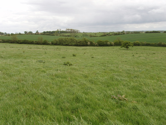 File:Fields at Dunton - geograph.org.uk - 433507.jpg