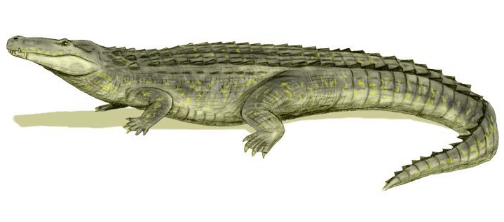 File:Purussaurus BW.jpg