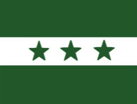 File:Bandeira da Independência do Sul.jpg