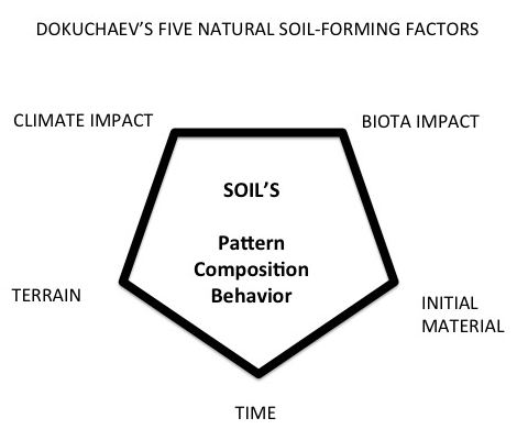 File:DokuchaevSoilFactors.jpeg