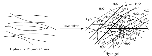 File:Hydrogel network.PNG