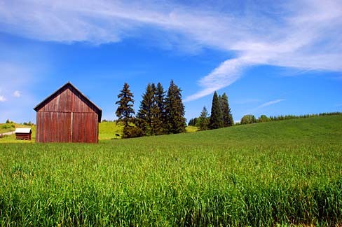 File:Meier Road Barn (Washington County, Oregon scenic images) (washDA0034).jpg