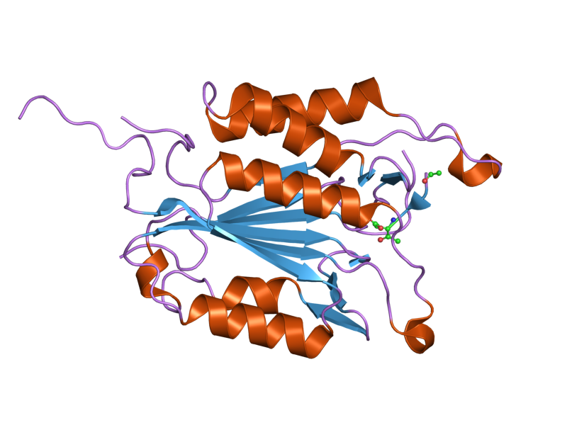 File:PDB 2j33 EBI.png