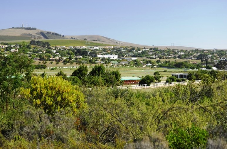 File:Durbanville Nature Reserve and racecourse Cape Town SA.jpg