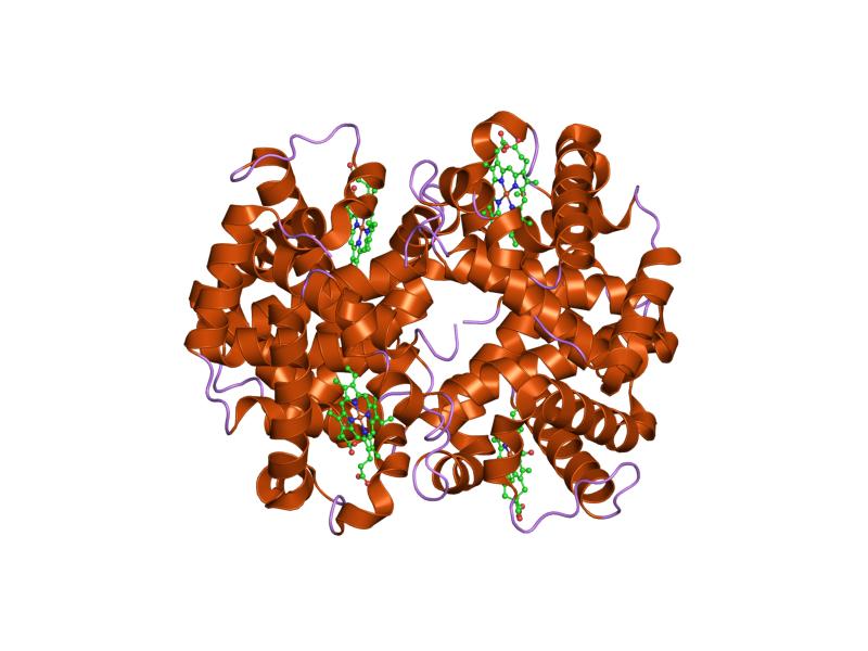 File:PDB 1m9p EBI.jpg