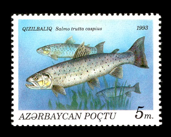 Файл:Stamps of Azerbaijan, 1993-197.jpg