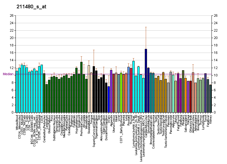 File:PBB GE SLCO1A2 211480 s at fs.png