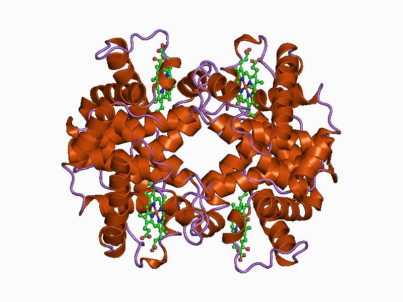 File:PDB 1a9w EBI.jpg