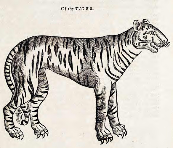 File:Ofthetiger.jpg