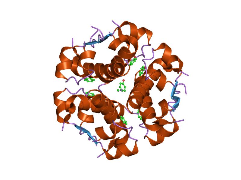 File:PDB 1znj EBI.jpg