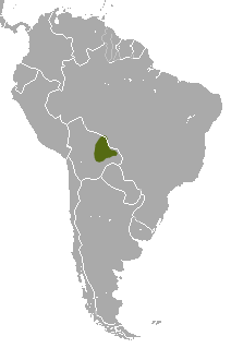 Map of South America, with shading indicating the species occurs in eastern Bolivia