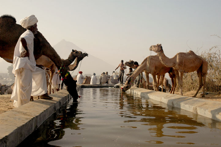 File:Pushkar watering hole.jpg