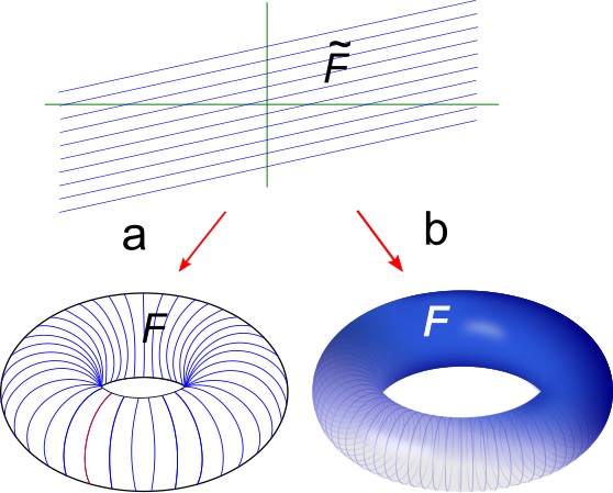 File:Linear torus.png