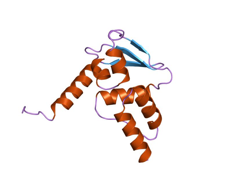 File:PDB 1r29 EBI.jpg