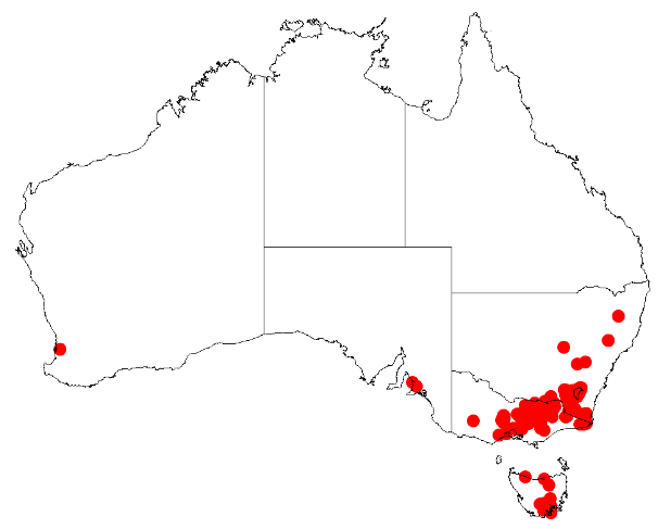 File:Acacia pravissimaDistMap714.png