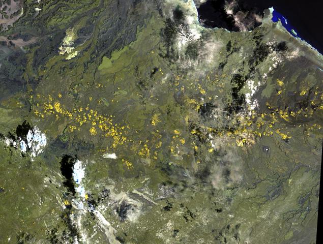 Файл:Assab volcanic field.jpg