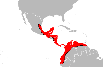 File:Bothrops asper Area.PNG