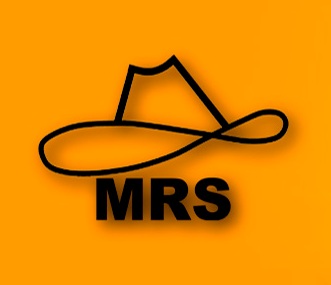 Файл:Logo MRS.JPG