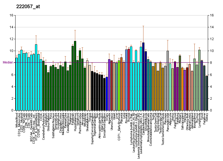 File:PBB GE NOL12 222057 at fs.png