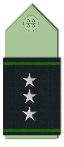 File:Pala Capitán de Gendarmería.jpg