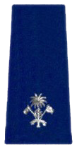 File:Major - Superintendent of Police (MPS OF-3).png