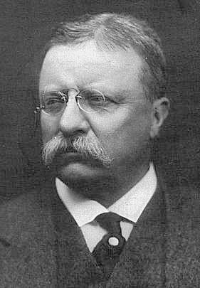 File:Teddy roosevelt.jpg