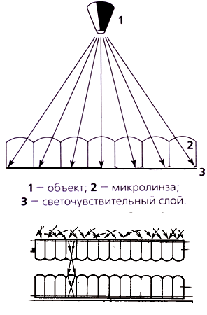 Файл:Lippman.png