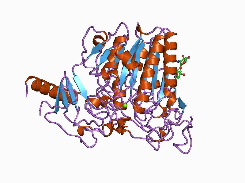 File:PDB 1auk EBI.jpg