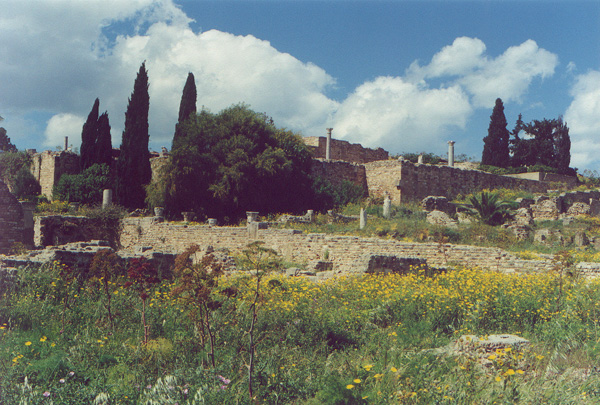 File:Roman-Villas-Carthage.jpg