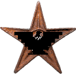 File:Barnstar-huelga.png