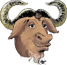 Archivo:Gnu-color-reiss-head.jpg