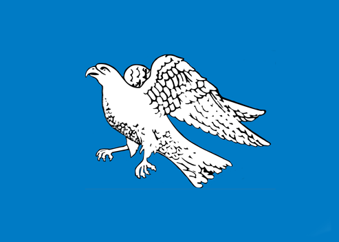 File:Icelandic falcon flag (unofficial).png