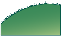 File:Leaf morphology ciliate.png