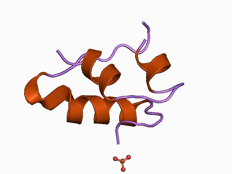 File:PDB 1b2c EBI.jpg