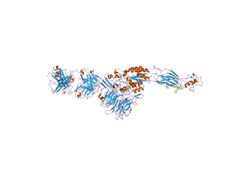 File:PDB 1ty6 EBI.jpg