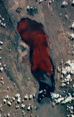 File:Lake Natron from space STS-55.jpg