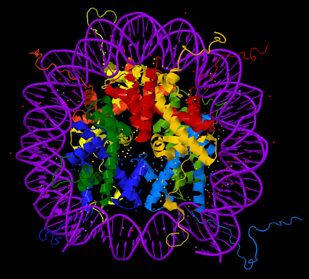 File:Nucleosome core particle 1EQZ v.5.jpg