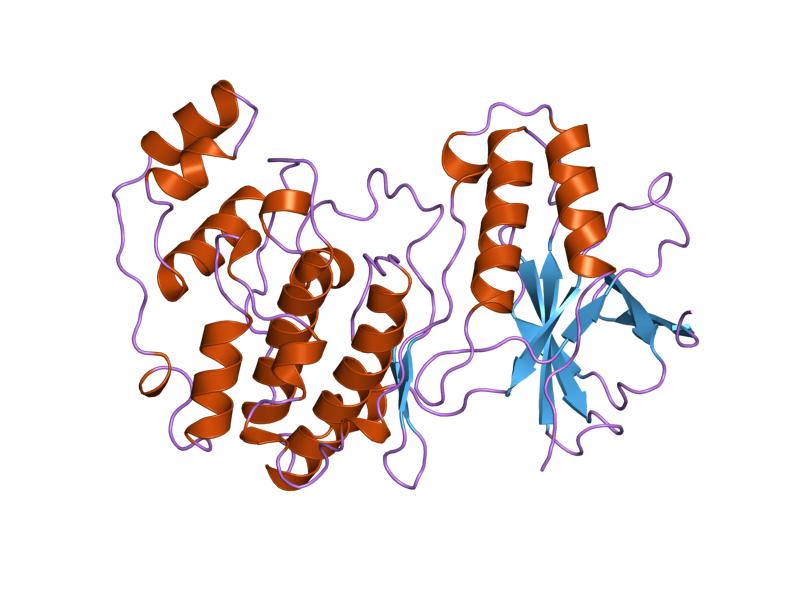 File:PDB 1p38 EBI.jpg