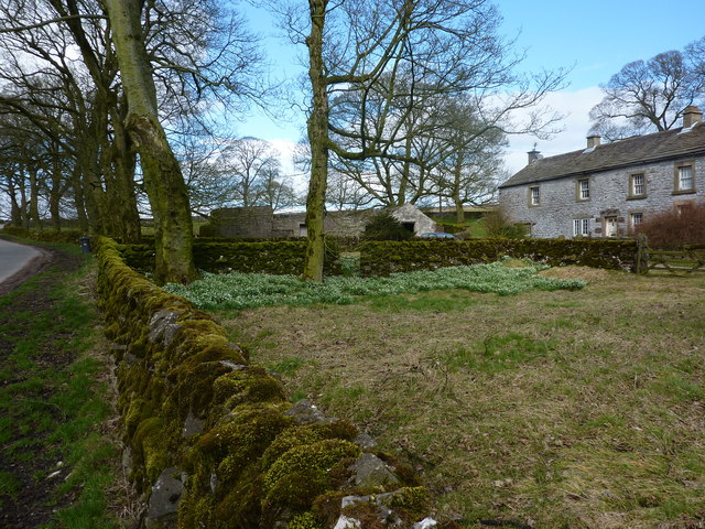 File:Snowdrops at Needham Grange - geograph.org.uk - 1773416.jpg