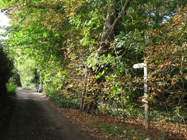 File:Common Lane - geograph.org.uk - 1033133.jpg