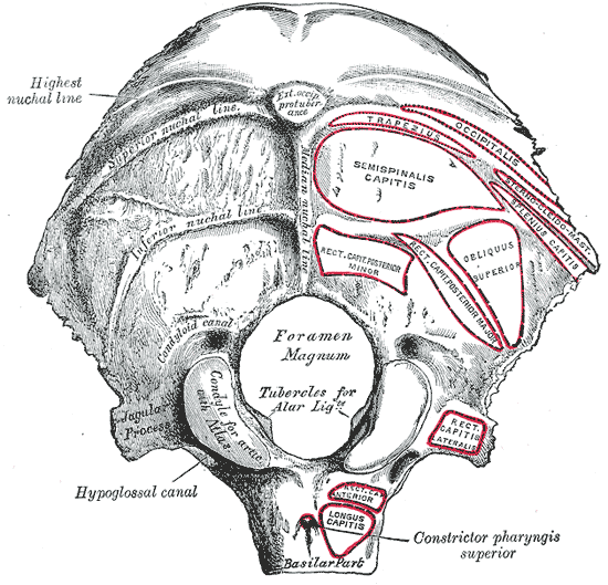 File:Gray129.png