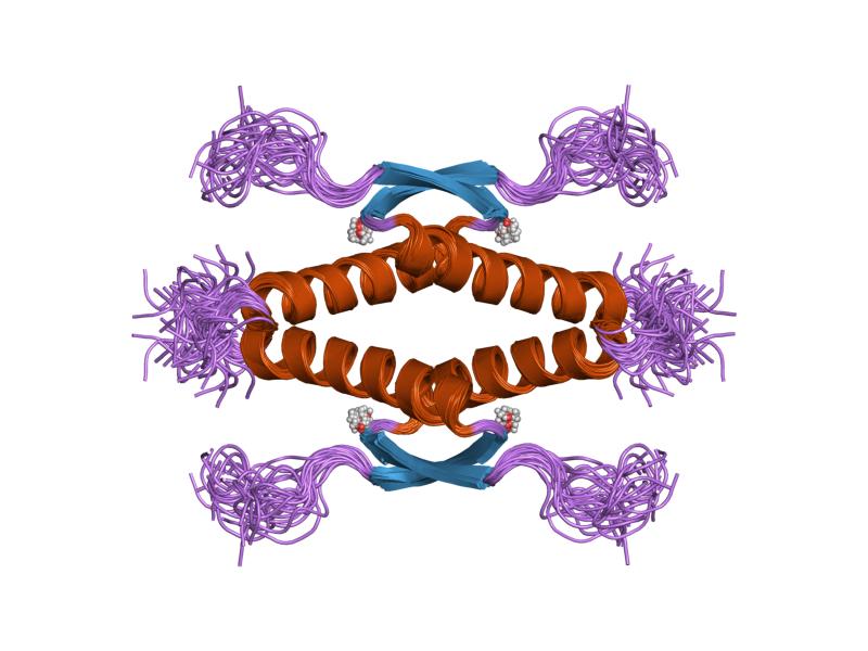 File:PDB 1sae EBI.jpg