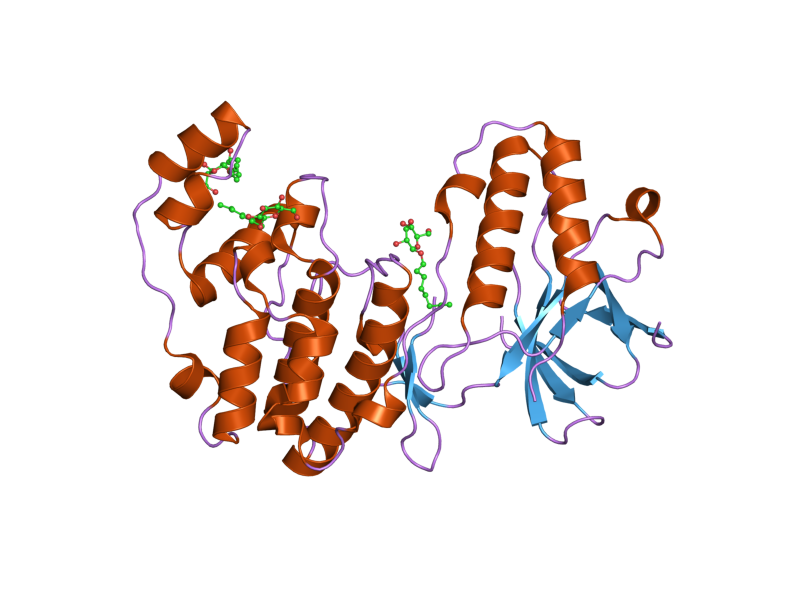 File:PDB 2fst EBI.png