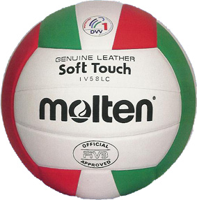 File:Volleyball.jpg