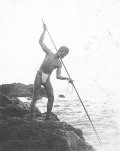 File:Hawaiian man spear fishing, Hana, Maui, ca. 1890.jpg