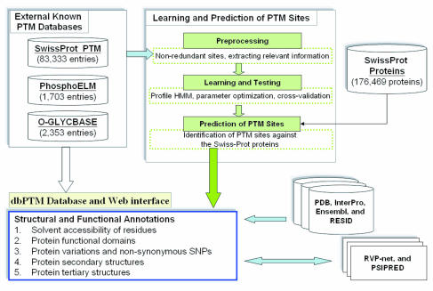 File:Image for Wiki 2.jpg