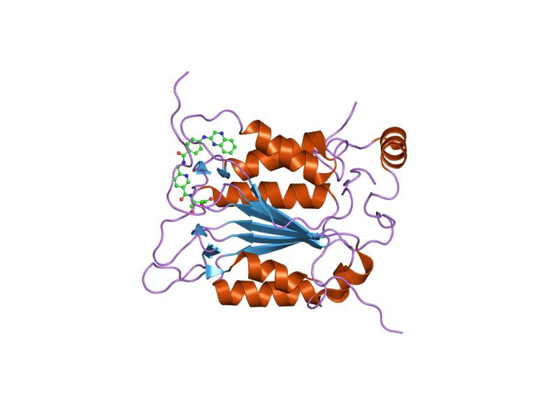 File:PDB 1rww EBI.jpg