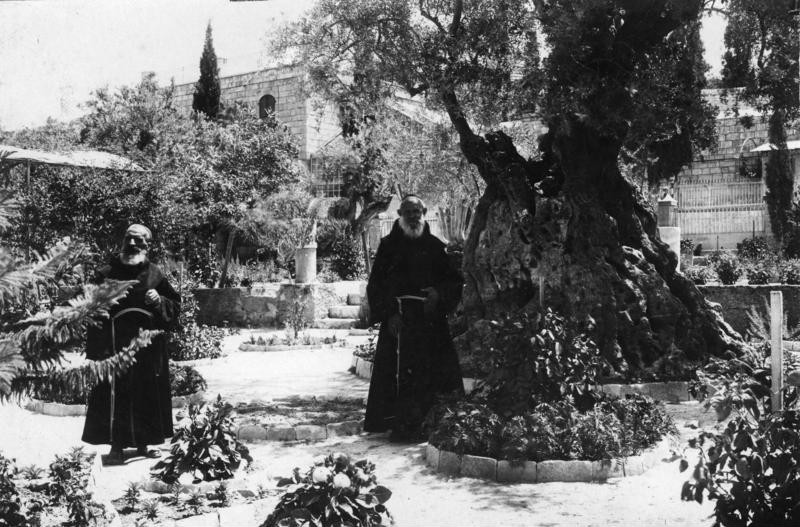 File:Bundesarchiv Bild 146-2007-0203, Jerusalem, Garten Gethsermane, Ölbaum.jpg