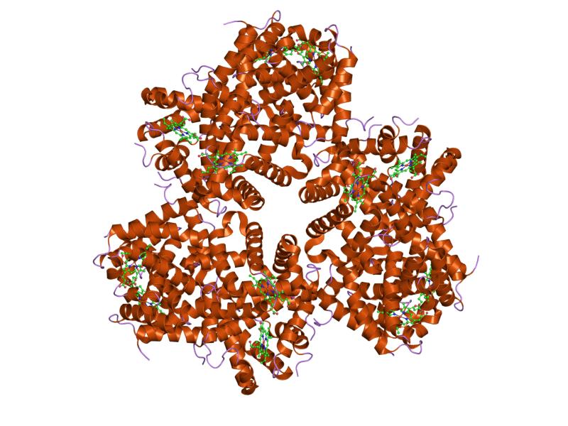 Archivo:PDB 1x9f EBI.jpg