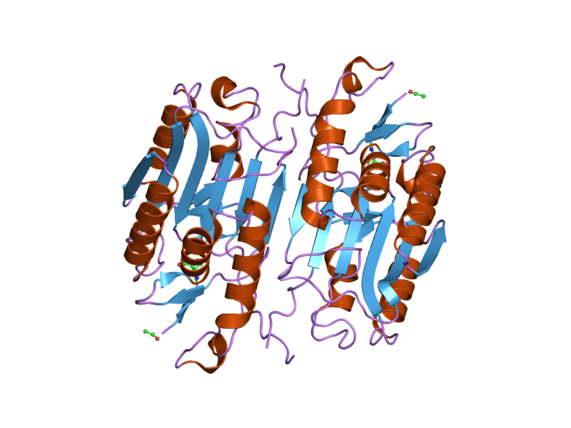 File:PDB 2h65 EBI.png